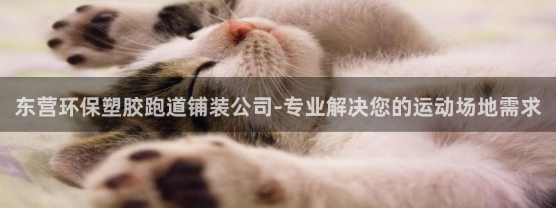 红足一1世666814最新结果：东营环保塑胶跑道铺装公司-专业解决您的运动场地需求
