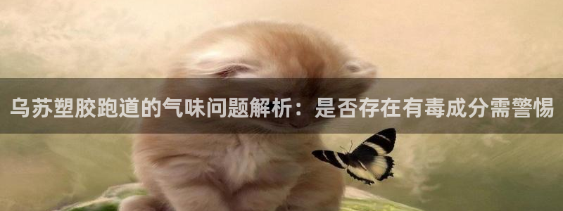 红足一1世手机版新皇冠：乌苏塑胶跑道的气味问题解析：是否存在有毒成分需警惕