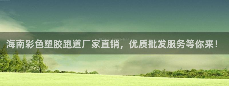百度红足一1世：海南彩色塑胶跑道厂家直销，优质批发服务等你来！