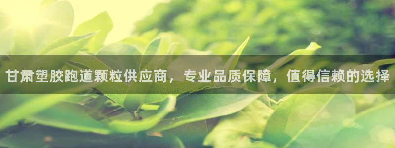 红足1世足球比分网址：甘肃塑胶跑道颗粒供应商，专业品质保障，值得信赖的选择
