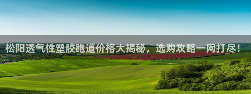 红足一1世皇冠地址：松阳透气性塑胶跑道价格大揭秘，选购攻略一网打尽！