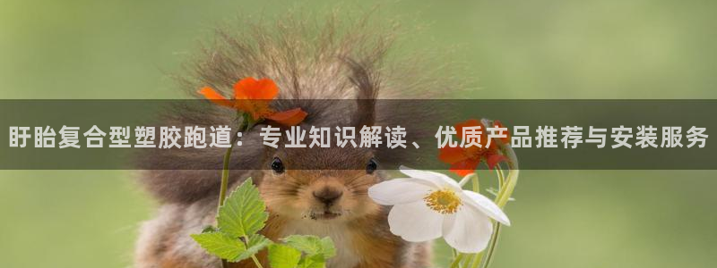 777814红·足一世比分：盱眙复合型塑胶跑道：专业知识解读、优质产品推荐与安装服务
