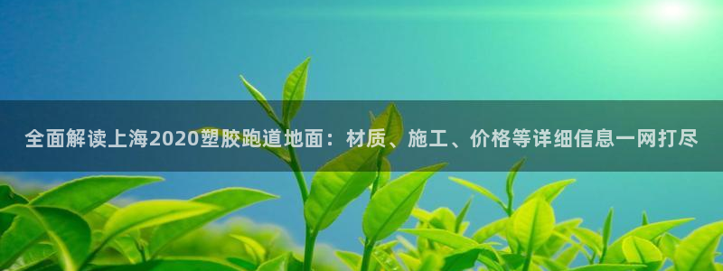 红足一1世66814新宝：全面解读上海2020塑胶跑道地面：材质、施工、价格等详细信息一网打尽