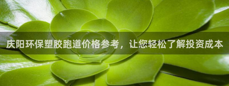 红足一1世平台：庆阳环保塑胶跑道价格参考，让您轻松了解投资成本