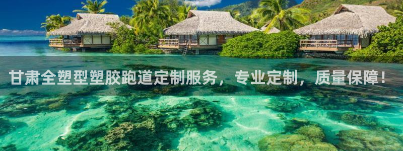 红足i世足球手机网：甘肃全塑型塑胶跑道定制服务，专业定制，质量保障！