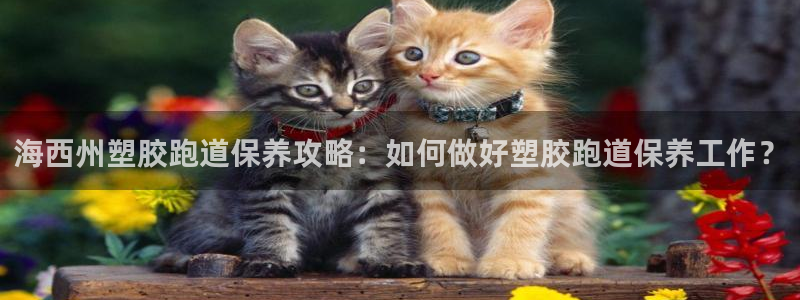 666814红·足一世比分：海西州塑胶跑道保养攻略：如何做好塑胶跑道保养工作？