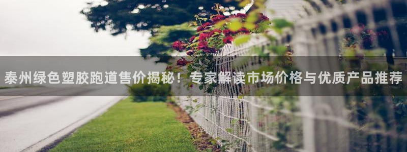 红足一1世666814足球：泰州绿色塑胶跑道售价揭秘！专家解读市场价格与优质产品推荐