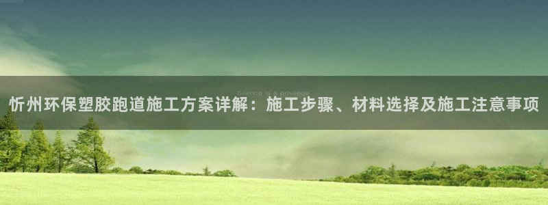 66814红足一66814世：忻州环保塑胶跑道施工方案详解：施工步骤、材料选择及施工注意事项