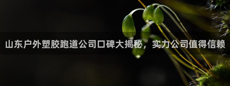 红世一足球比分