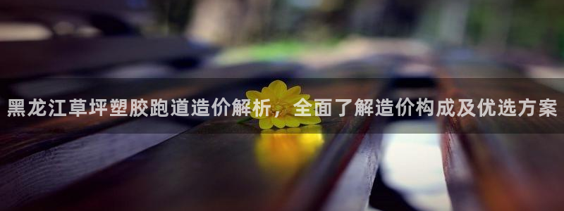 红足1世手足球比分：黑龙江草坪塑胶跑道造价解析，全面了解造价构成及优选方案