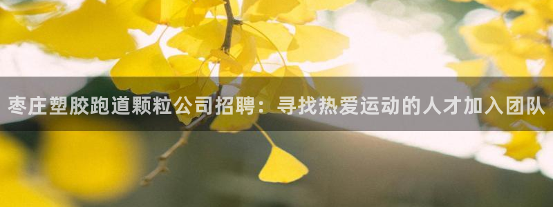 红足一1世官网比分：枣庄塑胶跑道颗粒公司招聘：寻找热爱运动的人才加入团队