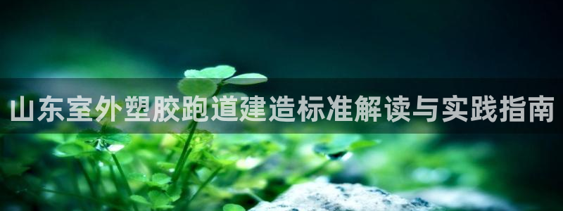 红足一1世皇冠地址：山东室外塑胶跑道建造标准解读与实践指南