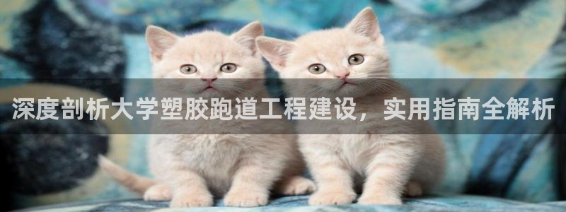 红足1一世足球手机：深度剖析大学塑胶跑道工程建设，实用指南全解析