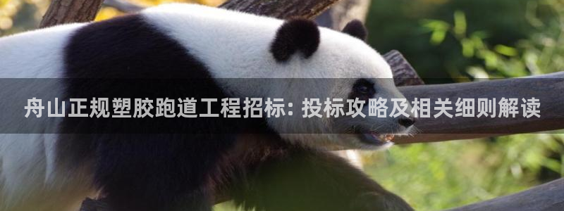 红足一1世比分：舟山正规塑胶跑道工程招标: 投标攻略及相关细则解读