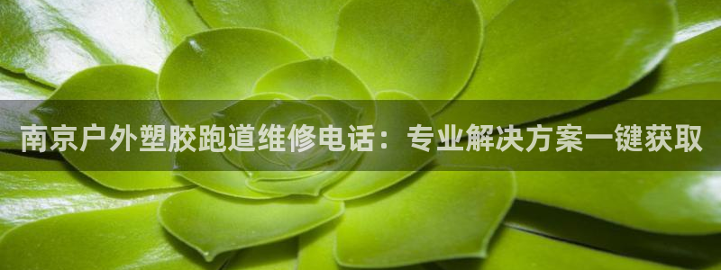 红足一球：南京户外塑胶跑道维修电话：专业解决方案一键获取