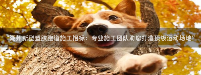 4633333开奖结果4176一点红：“湖州新型塑胶跑道施工招标：专业施工团队助您打造顶级运动场地”