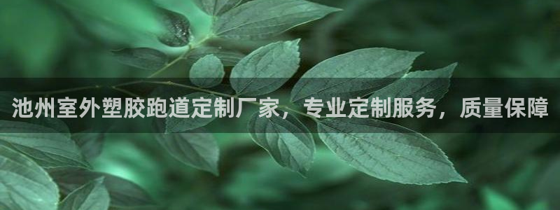 红足1世足球网址：池州室外塑胶跑道定制厂家，专业定制服务，质量保障