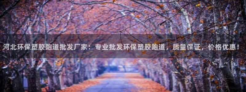 新2足球平台出租网站：河北环保塑胶跑道批发厂家：专业批发环保塑胶跑道，质量保证，价格优惠！