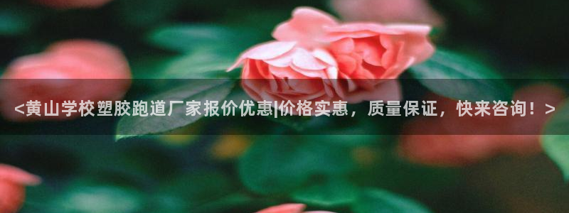 红足一1世手机开奖：<黄山学校塑胶跑道厂家报价优惠|价格实惠，质量保证，快来咨询！>