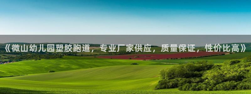 红足一1世手机皇冠
