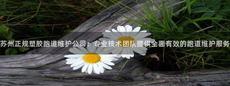 苏州正规塑胶跑道维护公司：专业技术团队提供全面有效的跑道维护服务