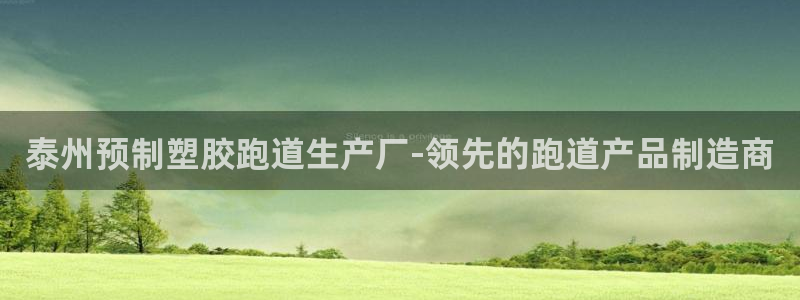 红足1世1站：泰州预制塑胶跑道生产厂-领先的跑道产品制造商