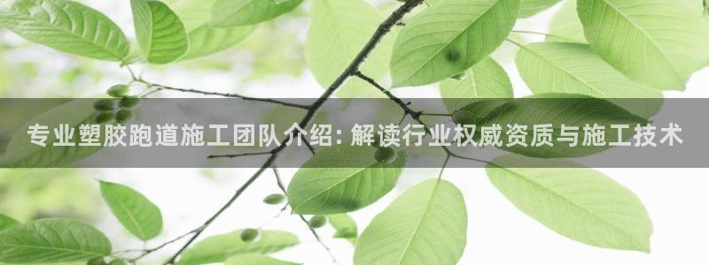 红足1世1站：专业塑胶跑道施工团队介绍: 解读行业权威资质与施工技术