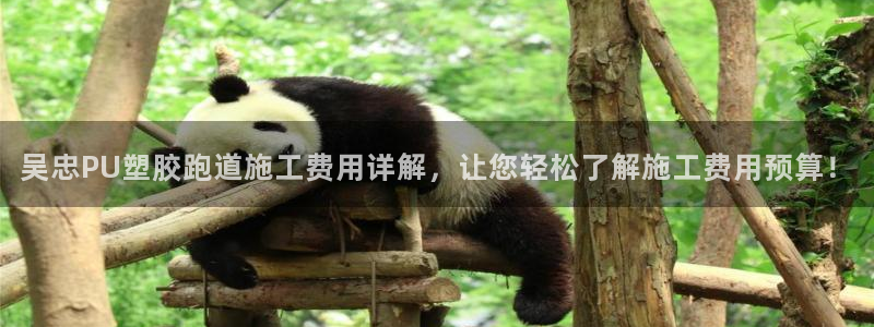 百度红足一1使用说明：吴忠PU塑胶跑道施工费用详解，让您轻松了解施工费用预算！