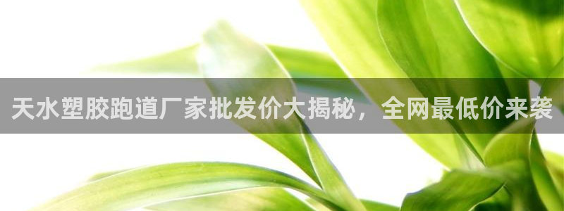 红足网足球直播：天水塑胶跑道厂家批发价大揭秘，全网最低价来袭