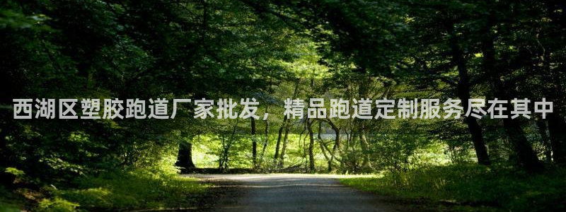 百度红足一1使用说明