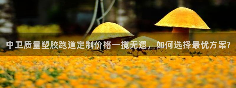 66814红足一66814世：中卫质量塑胶跑道定制价格一揽无遗，如何选择最优方案?