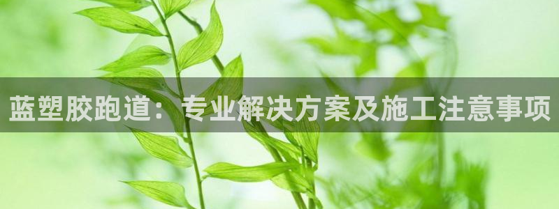 百度红足一1是干什么的：蓝塑胶跑道：专业解决方案及施工注意事项