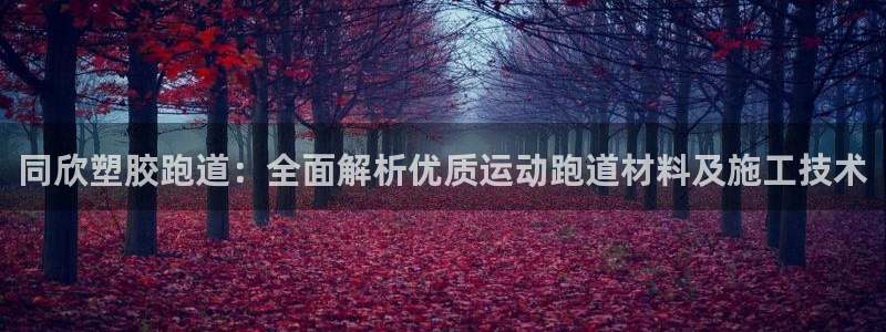 红足一1世77814：同欣塑胶跑道：全面解析优质运动跑道材料及施工技术