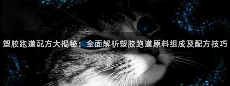 红足1世1站2站管理网：塑胶跑道配方大揭秘：全面解析塑胶跑道原料组成及配方技巧