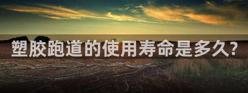 红足一一世
