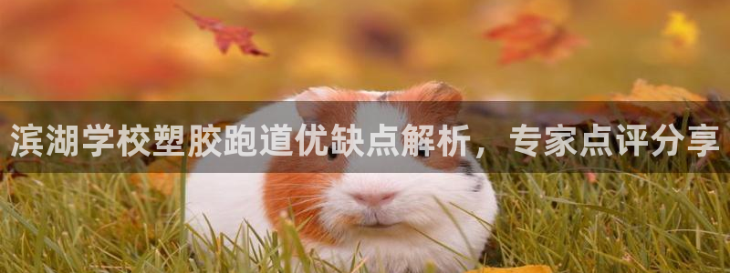 百度红足一1是干什么的