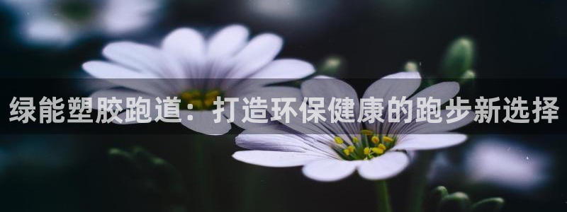 红足一1世666814足球：绿能塑胶跑道：打造环保健康的跑步新选择