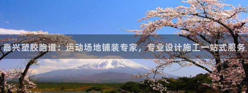 333814红·足一世比分：嘉兴塑胶跑道：运动场地铺装专家，专业设计施工一站式服务
