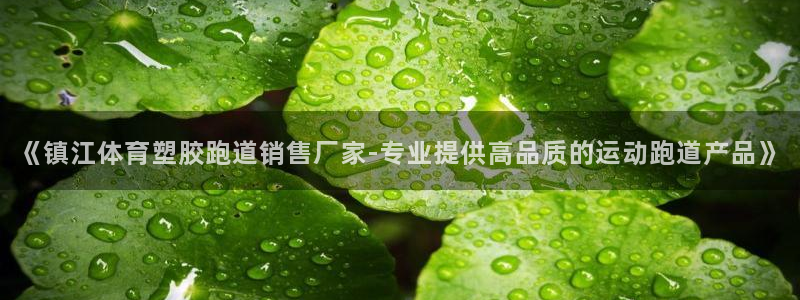 百度红足一1视频在线观看：《镇江体育塑胶跑道销售厂家-专业提供高品质的运动跑道产品》