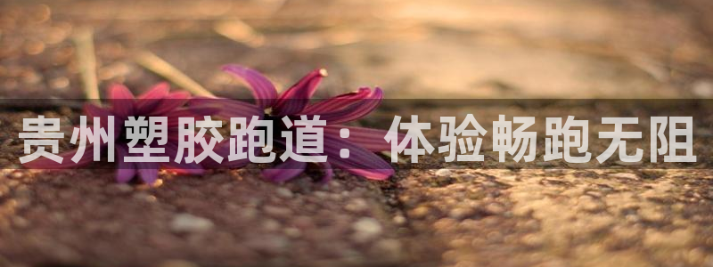 红足一1世平台：贵州塑胶跑道：体验畅跑无阻