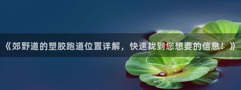 红足一1世皇冠登录：《郊野道的塑胶跑道位置详解，快速找到您想要的信息！》