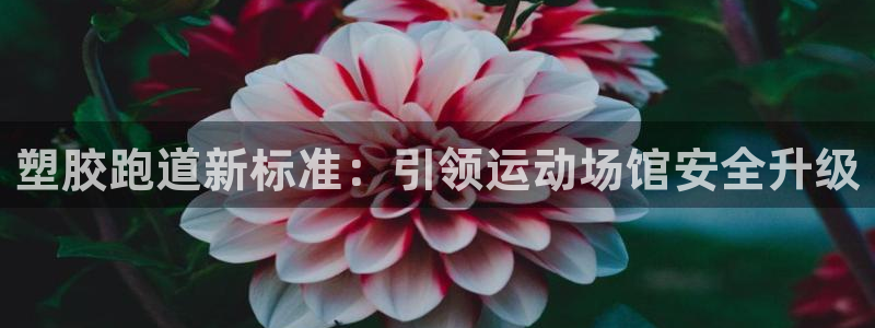 红足1世足球网址大全：塑胶跑道新标准：引领运动场馆安全升级