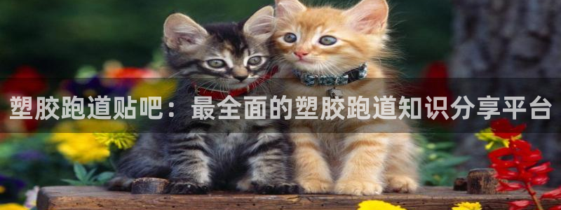 红足l一世开奖现场62ty：塑胶跑道贴吧：最全面的塑胶跑道知识分享平台