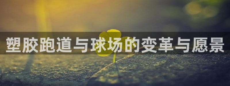 777814红·足一世比分：塑胶跑道与球场的变革与愿景