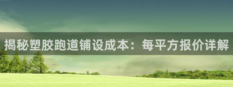 百度红足一1视频在线观看：揭秘塑胶跑道铺设成本：每平方报价详解