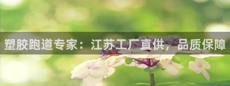红足一1世官网足球推荐真人：塑胶跑道专家：江苏工厂直供，品质保障