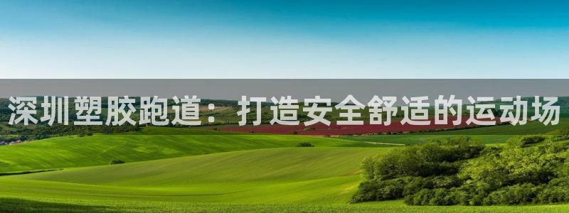 百度红足一1是什么样子的：深圳塑胶跑道：打造安全舒适的运动场