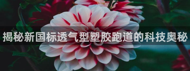 红足一1世66814：揭秘新国标透气型塑胶跑道的科技奥秘