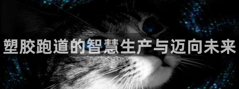 新2足球平台出租网站：塑胶跑道的智慧生产与迈向未来