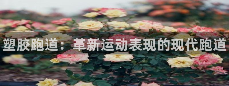 红足一1世官网比分：塑胶跑道：革新运动表现的现代跑道